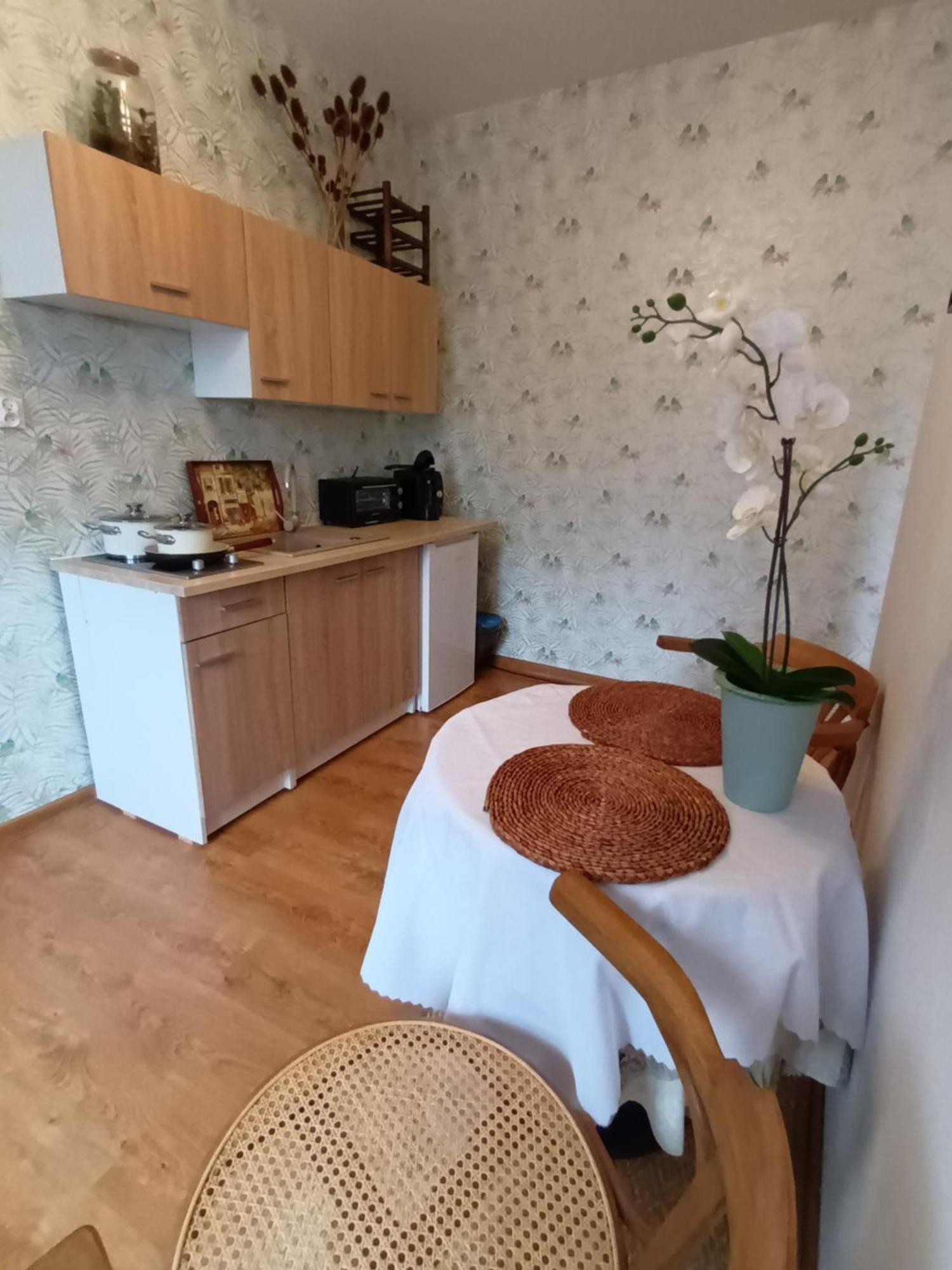 Studio In Kretomino Koszalin Værelse billede